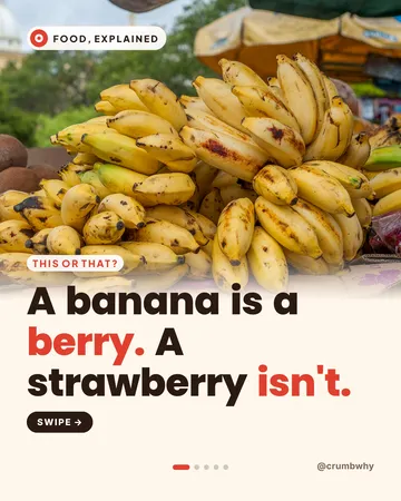 Carousel cover: bananas at a market stall and the headline “A banana is a berry. A strawberry isn’t.”